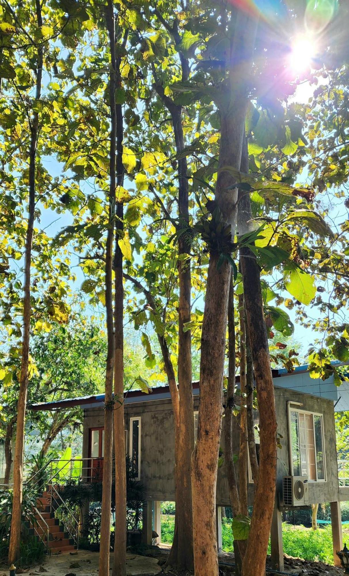 Rimtharnn Homestay Maewin Mae Wang Ngoại thất bức ảnh