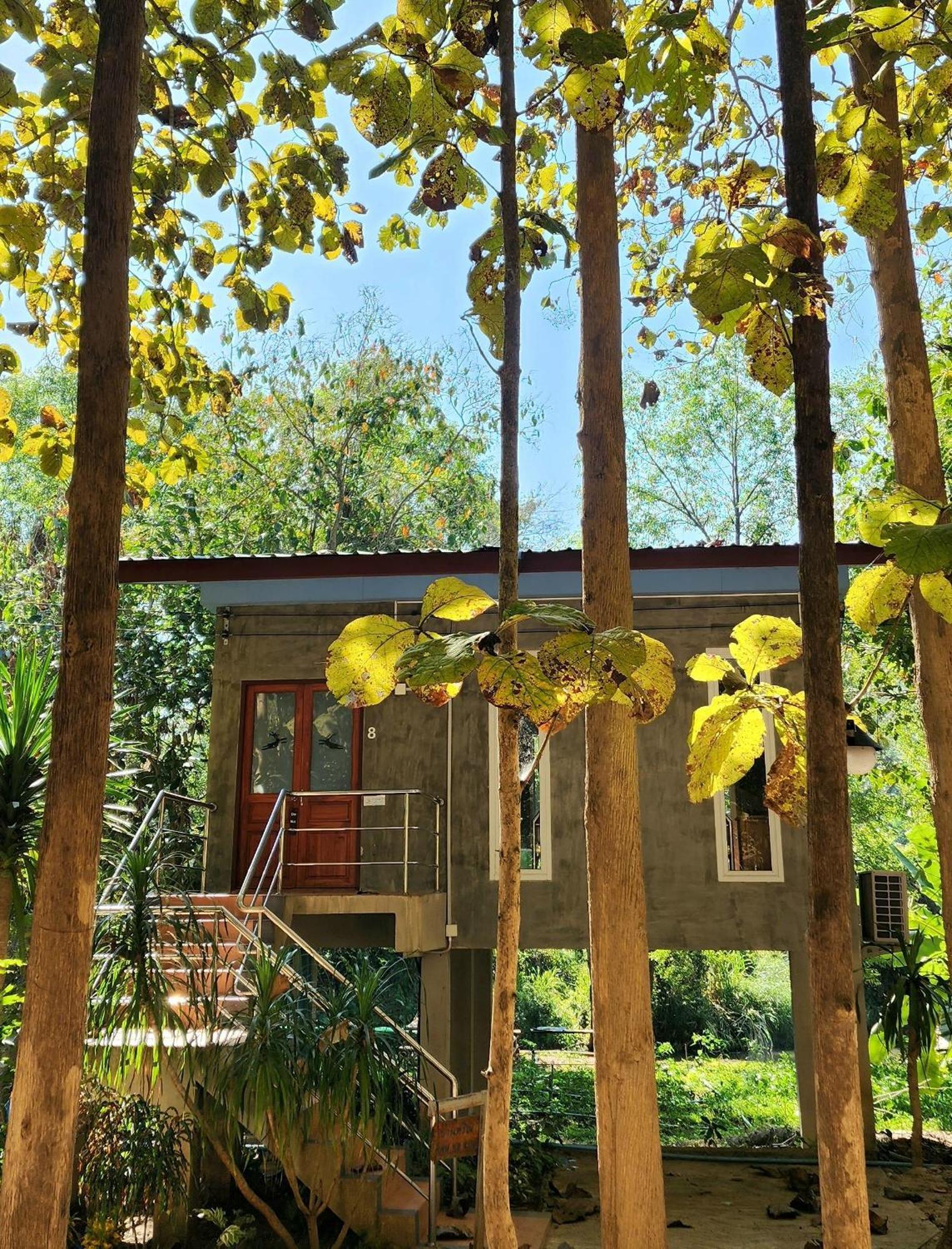 Rimtharnn Homestay Maewin Mae Wang Ngoại thất bức ảnh